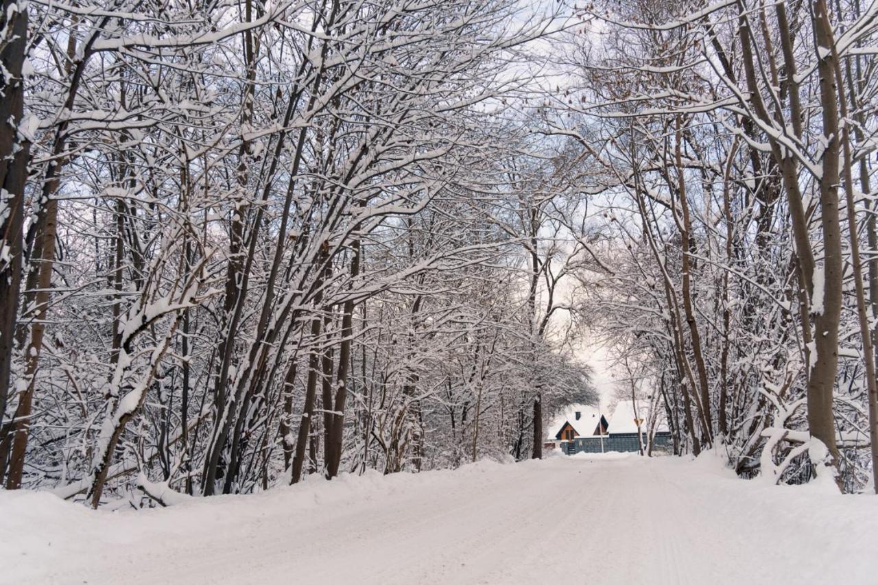 Dolina Barw - Caloroczne Domki Na Wynajem รับกา ภายนอก รูปภาพ